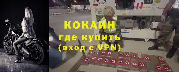 прущий лед Новозыбков