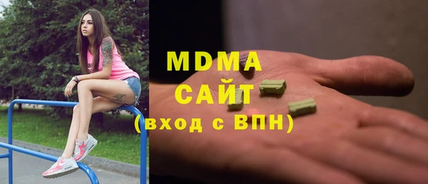 хмурый Ельня