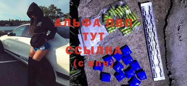 прущая мука Новодвинск
