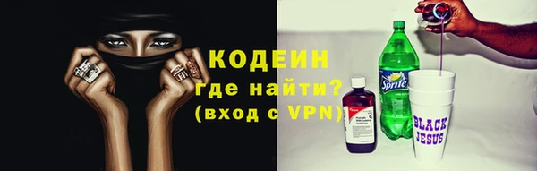 прущий лед Новозыбков