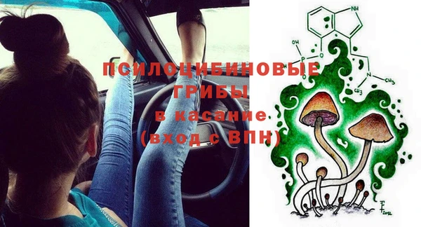 хмурый Нефтекумск