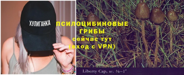хмурый Нефтекумск