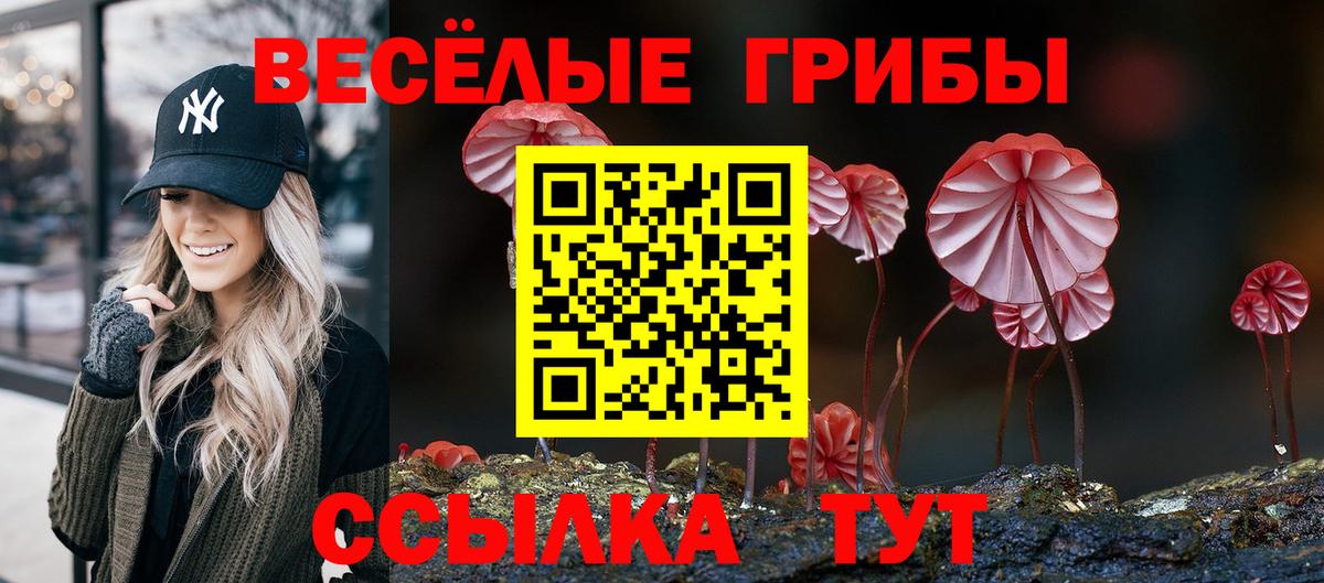Галлюциногенные грибы Psilocybine cubensis Кореновск
