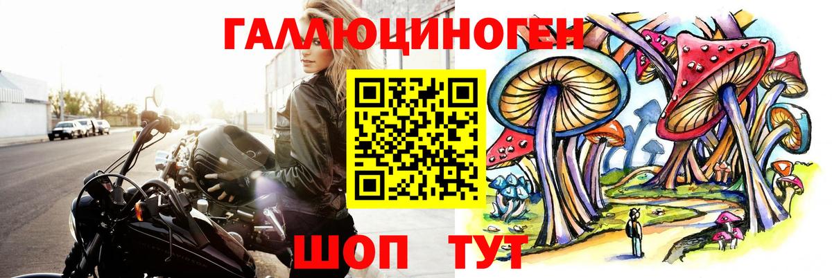 Кореновск  Псилоцибиновые грибы прущие грибы  Вход с VPN 